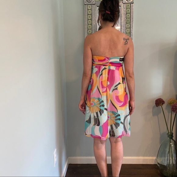 Shoshanna Anthropologie Silk Chiffon Dress - Picture 3 of 12